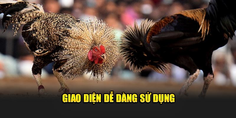 Giao diện dễ dàng sử dụng